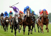 Melbourne Cup Cruise 6