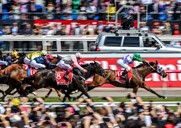 Melbourne Cup Cruise 7