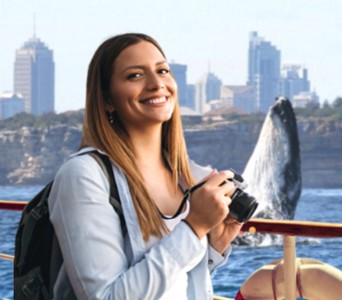 Whale Watching Cruises